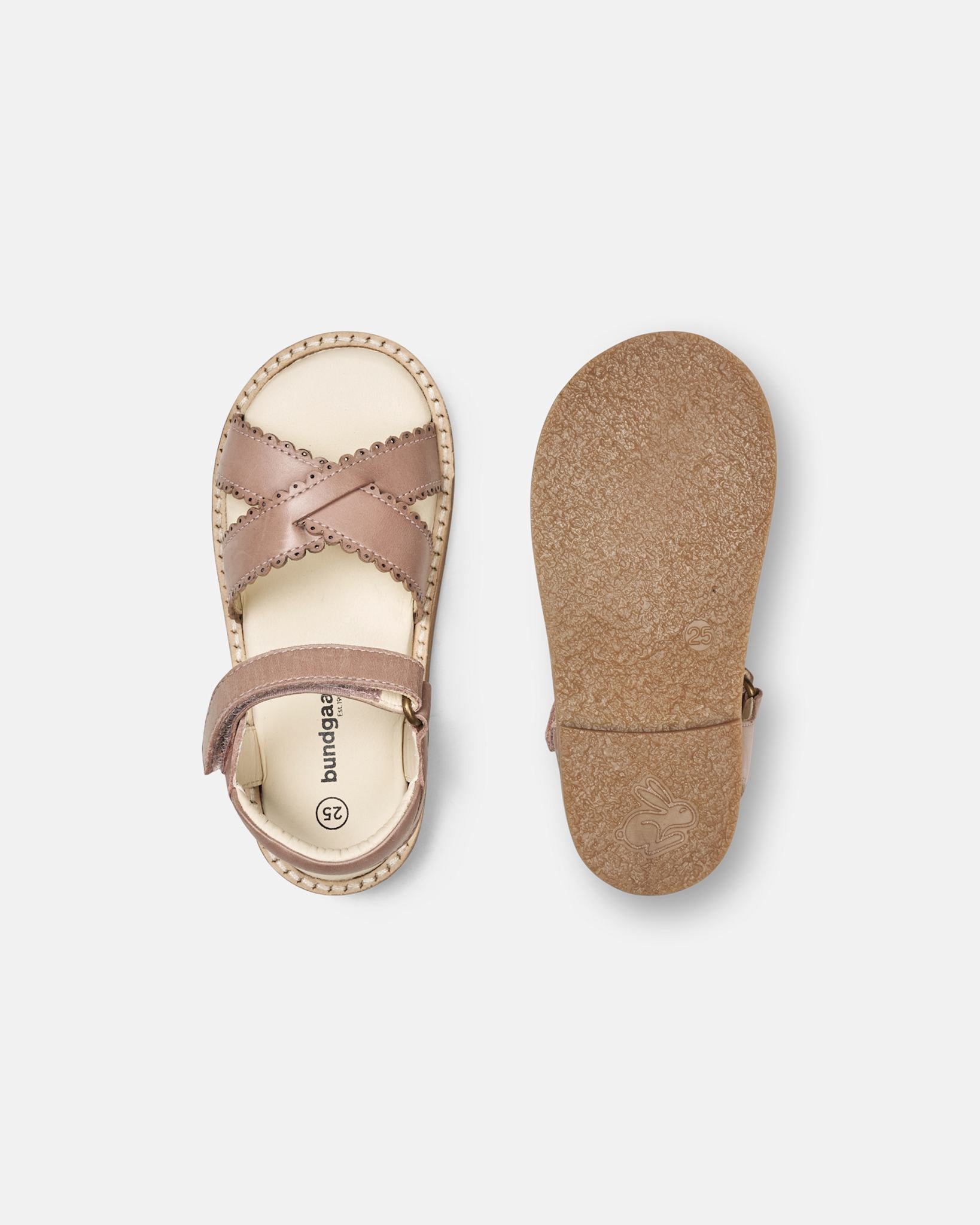 Laura Scallop Dusty Rose