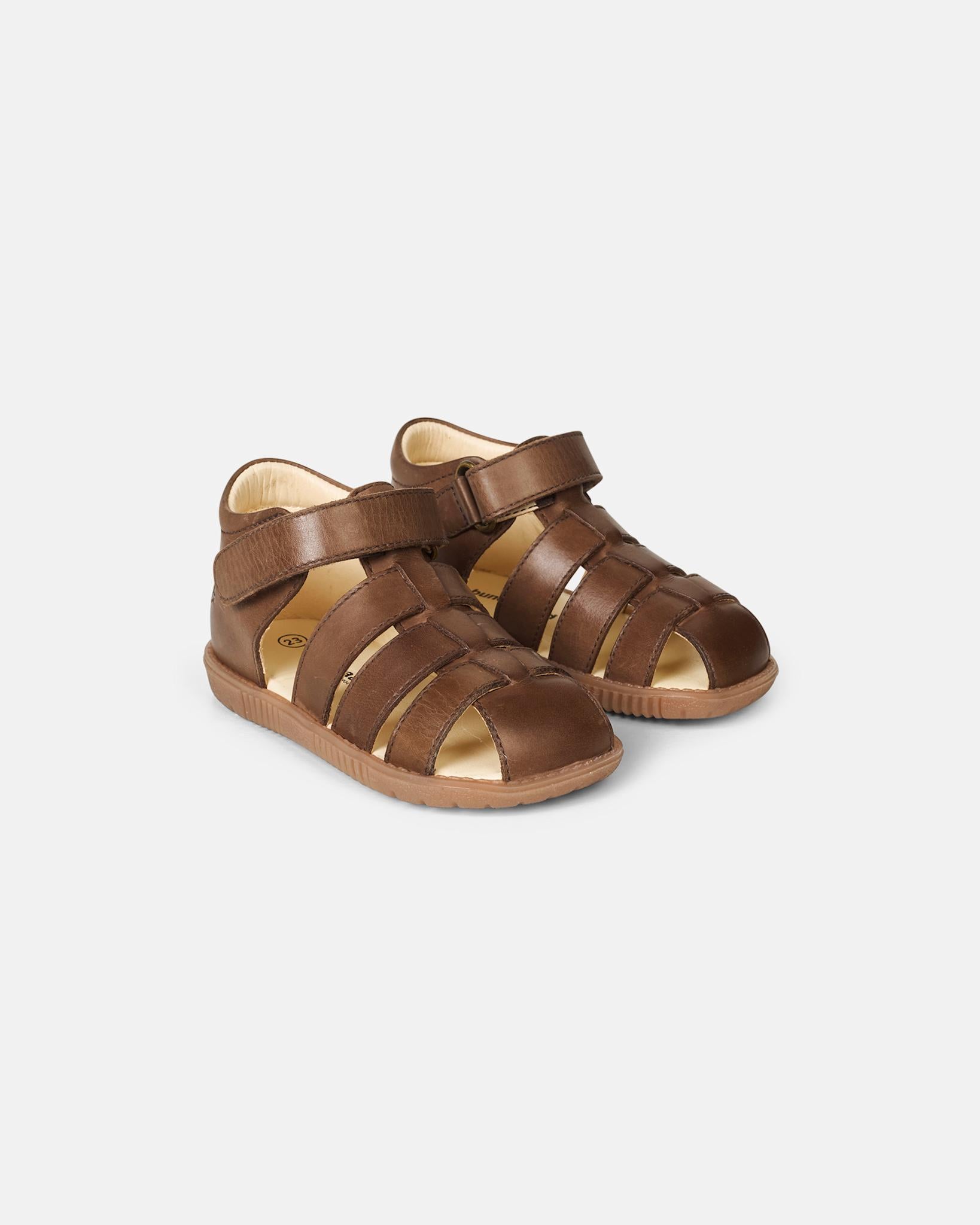Rollo Dark Brown