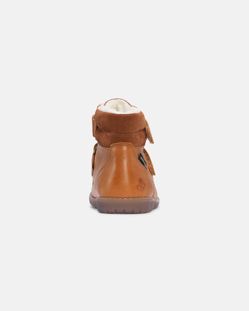 Lapin